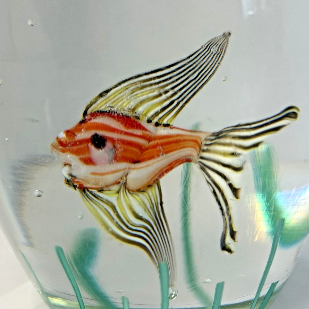 MURANO Art Glass Domed Egg Shaped Fish Aquarium Sculpture Tropical - Picture 2 of 7